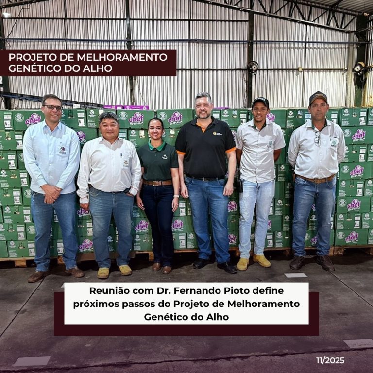 Reunião com Dr. Fernando Pioto define próximos passos do Projeto de Melhoramento Genético do Alho