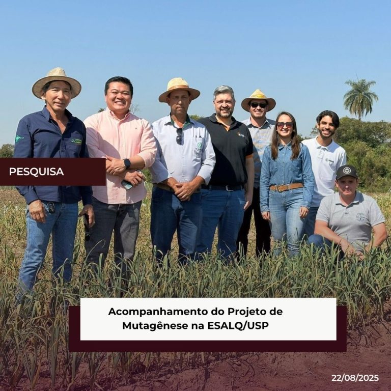 Acompanhamento do Projeto de Mutagênese na ESALQ/USP