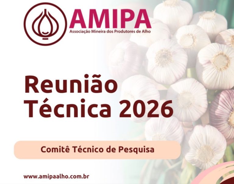 Reunião Técnica – 29/01/2026